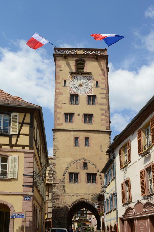 Ribeauville City Center - Gite Des Menetriers, Les Vieilles Vignes - Kültér fotó